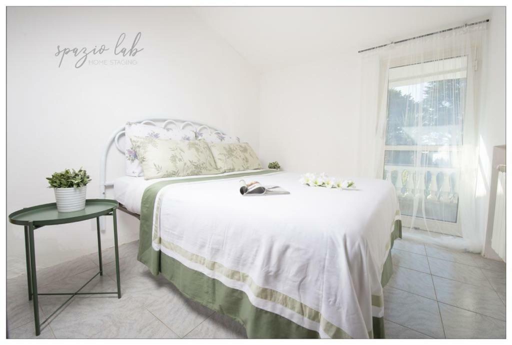 Villa D Apartments Marino Extérieur photo